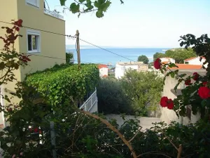 Image of Crème de Menthe