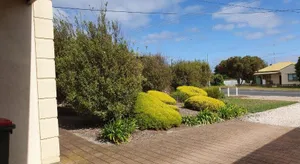 Image of Super Central Location