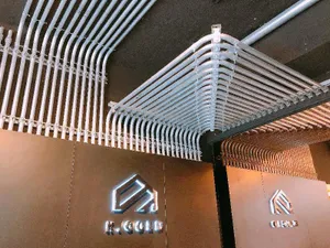 Image of K. Gold