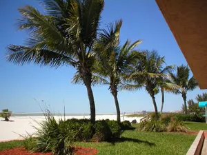 Image of Island Inn Beach Resort
