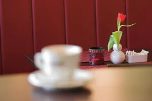 Image of Hotel Wiking