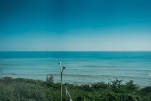 Image of Ocean Paradise