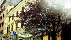 Image of Hotel Coppede'