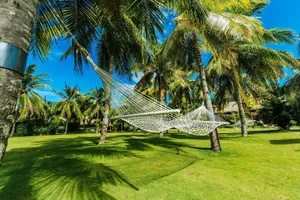 Image of Bohol Beach Club