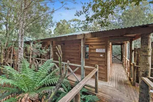 Image of Cradle Forest Inn