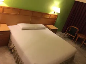 Image of Bright Star Hotel