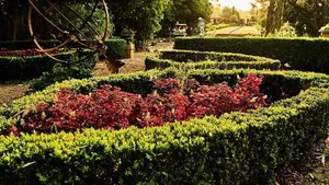 Image of The Regents Park