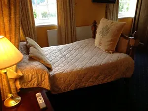 Image of Ty Newydd Country Hotel