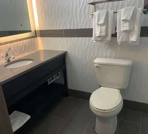 Image of Brooklyn Vybe Hotel, Ascend Hotel Collection