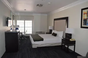 Image of Arena Hotel