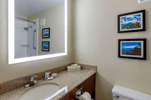 Image of Comfort Inn Roanoke Civic Center