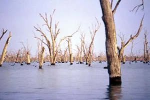 Image of The Yarrawonga Hotel
