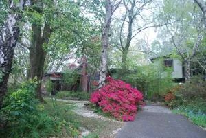 Image of Birch Suite - Rocky Creek Art Garden