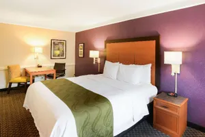 Image of Quality Inn & Suites North Charleston - Ashley Phosphate