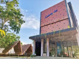 Image of Catch Up Dambulla