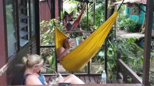 Image of Gecko Guesthouse
