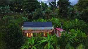 Image of De Chicktoria Hostel