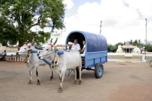 Image of Chettinad Packer