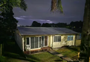 Image of Bluetongue Hideout