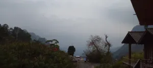 Image of Green View Ella