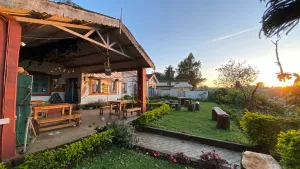 Image of The Birdhouse Backpackers Hostel