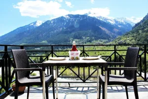 Image of La Vaca India Manali