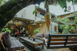 Image of Drop Inn Hostels