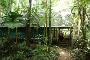 Image of Crocodylus Hostel
