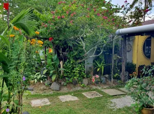 Image of THE COTTAGE LANGKAWI