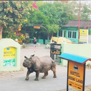 Image of Hotel Rhino Land-Sauraha Family Home