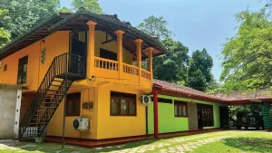 Image of Mystel Unawatuna
