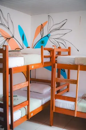 Image of Tepuy Hostel