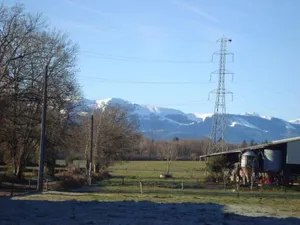 Image of 53Bou