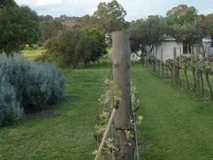 Image of Southern Vales Bed & Breakfast