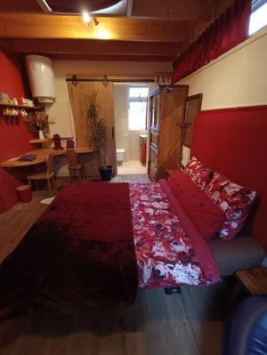Image of Bed and Breakfast Opus 209