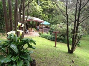 Image of Stone's Throw Cottage Bed and Breakfast