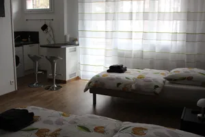 Image of Studio near Basel Airport RM1181