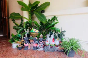 Image of The Best House&Hostel
