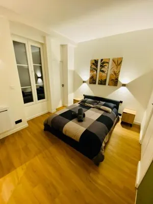 Image of 50m2 flat in heart of Orleans - Canal Foot & Bein
