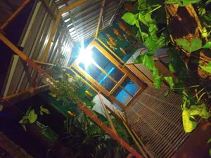 Image of Munnar Home Stay,Tea Drops Plantation Villa
