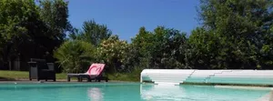 Image of le petit abre a prunier