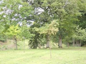 Image of LES GRANGES D'ANTAN - La FORGE -