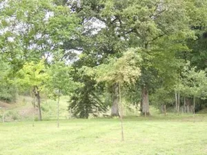 Image of LES GRANGES D'ANTAN - La FORGE -