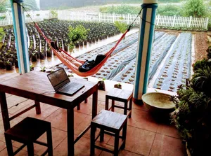 Image of Vibe way (Hostel & Market farm)