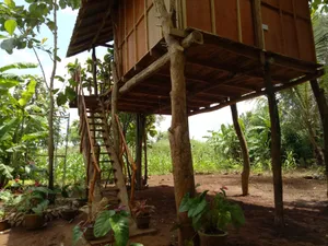 Image of Sigiri Aliya Tree house