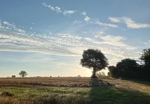 Image of Au Mont & Merveilles