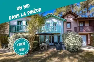 Image of Un Nid dans la Pinède