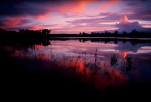 Image of Wild Nature Lodge, Mareeba Wetlands