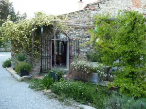 Image of Mas de la Petite Jeanne