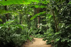 Image of Bayside City Apartments Cairns